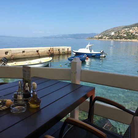 Apartman Mimoz Senj  Zewnętrze zdjęcie